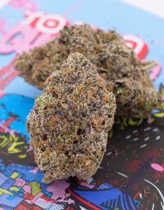d6e404_e69f1f255ea345fa83e56d547ff1dbea~mv2 Tokyo Gumdrop Strain