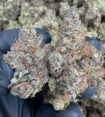 images (20) Candy Popz Strain